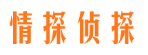 正阳找人公司